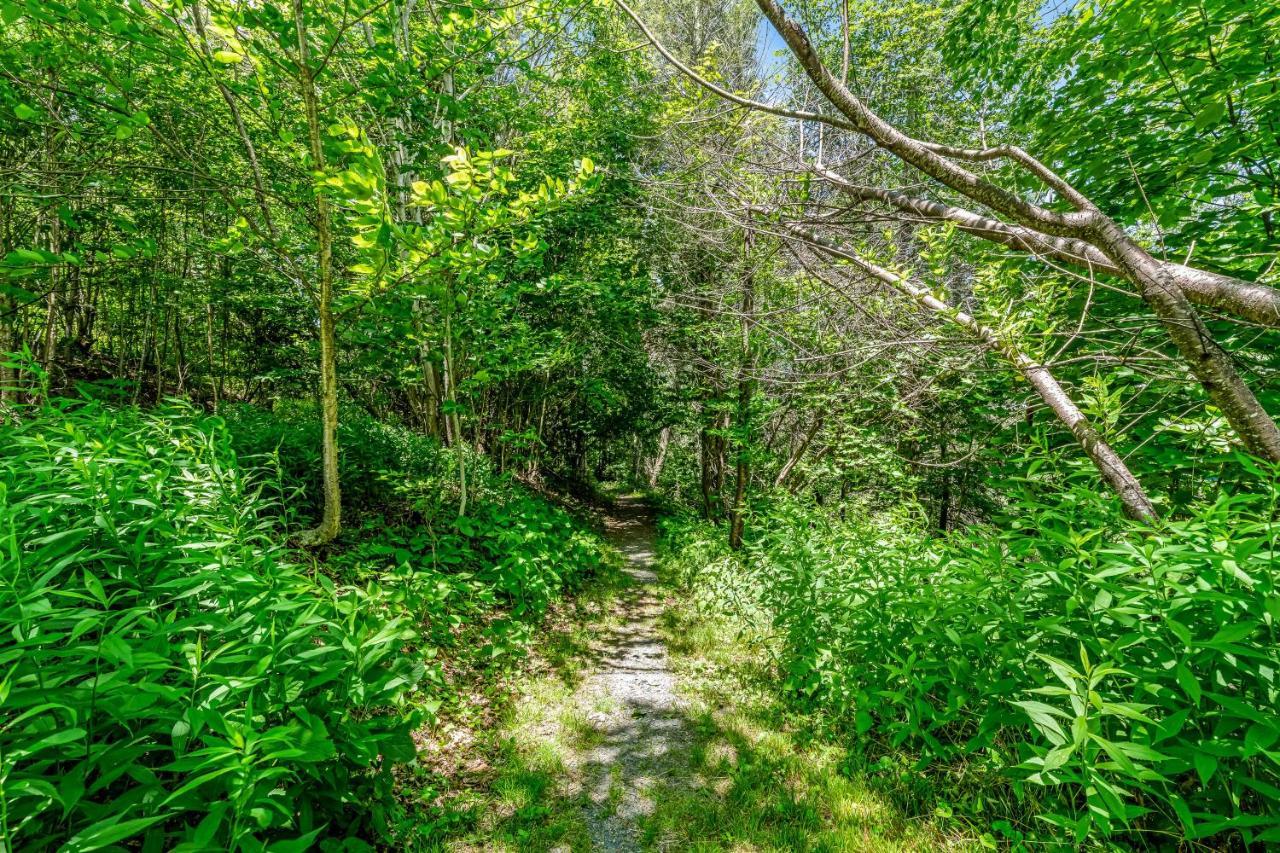 슈가 마운틴 Skyleaf Retreat 아파트 외부 사진